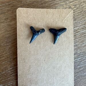 Fossil Shark Tooth Earrings